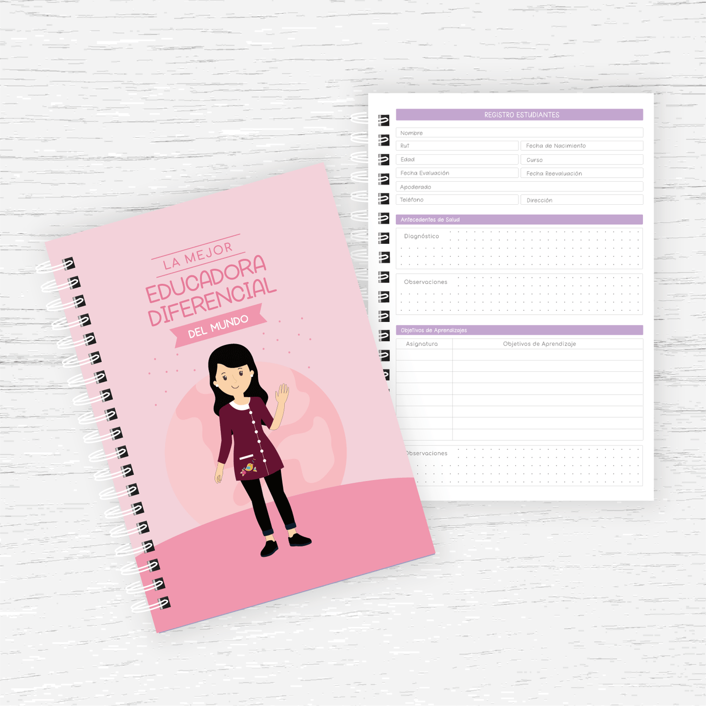 Planner Educadora Diferencial