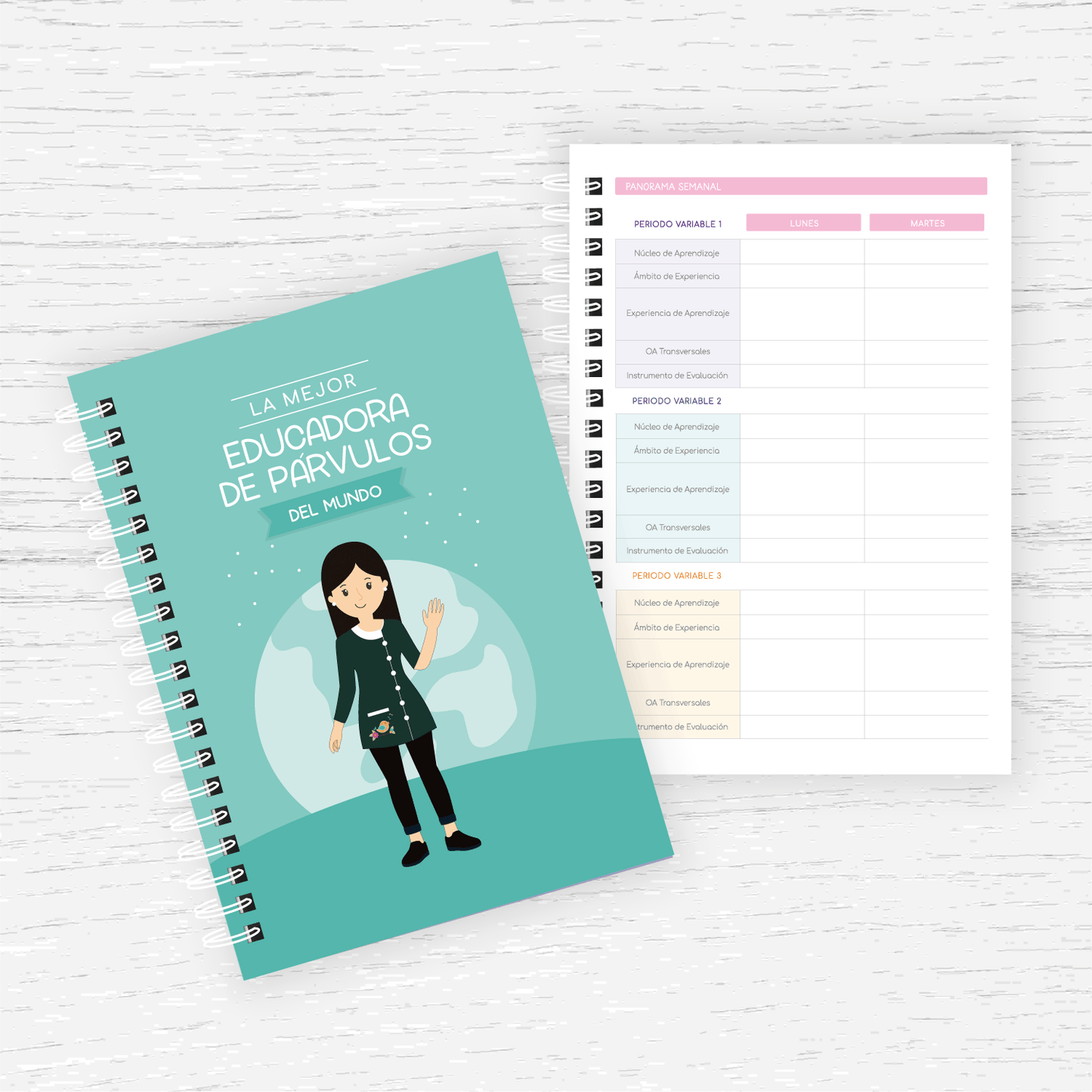 Planner Educadora de Párvulos