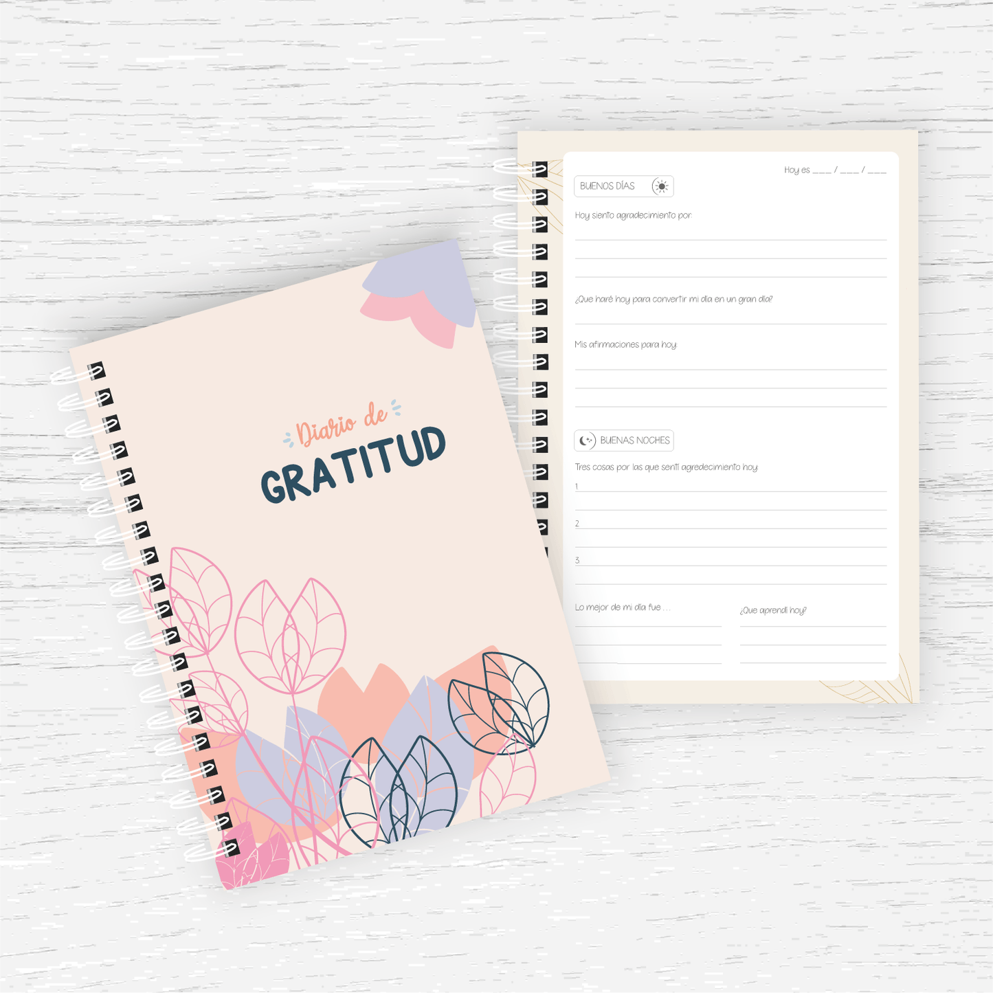 Diario de Gratitud