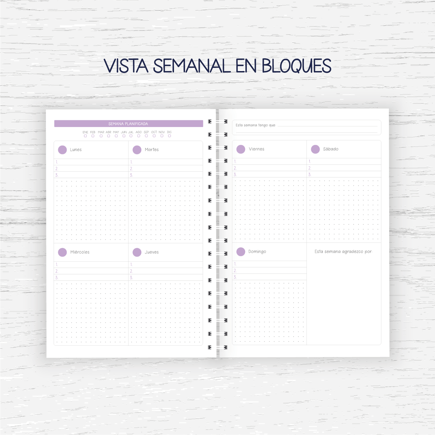 Planner Educadora Diferencial