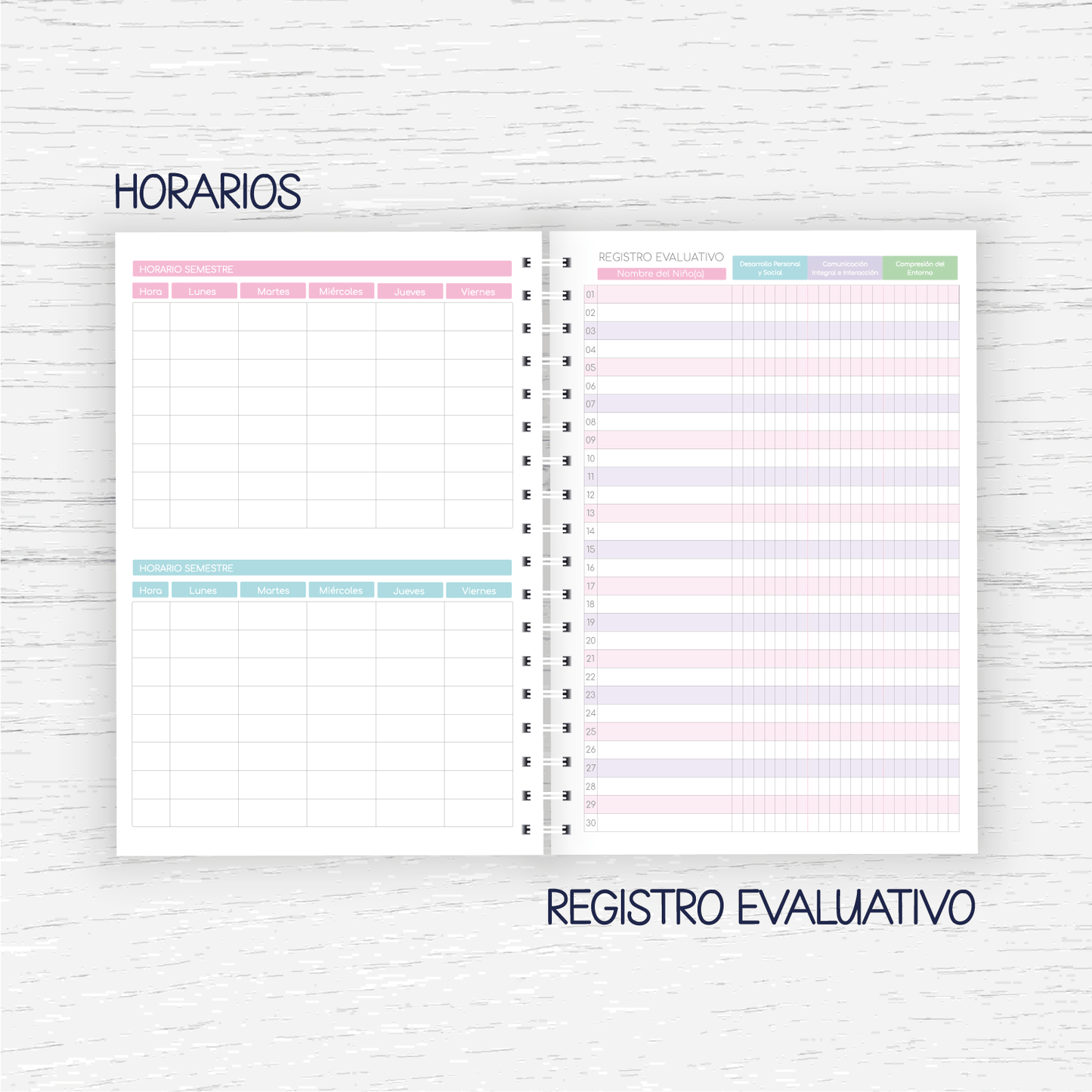 Planner Educadora de Párvulos