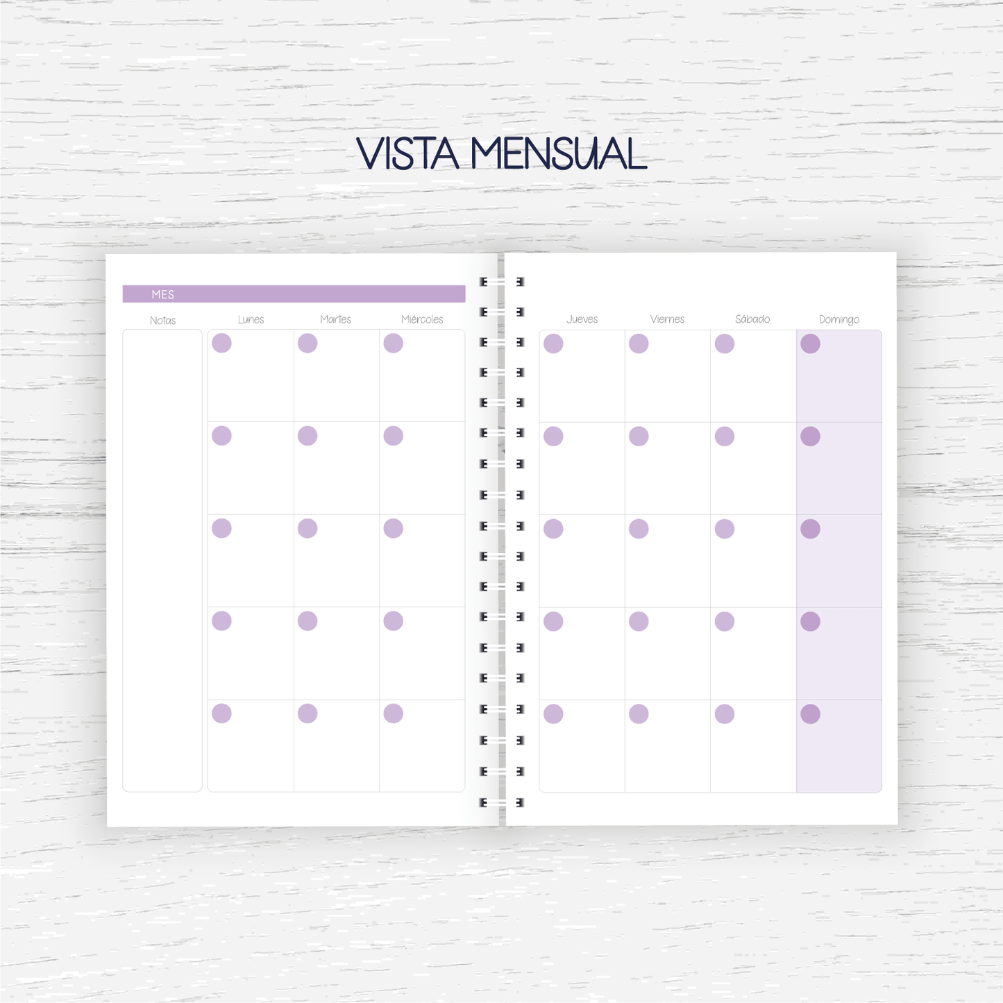 Planner Educadora Diferencial