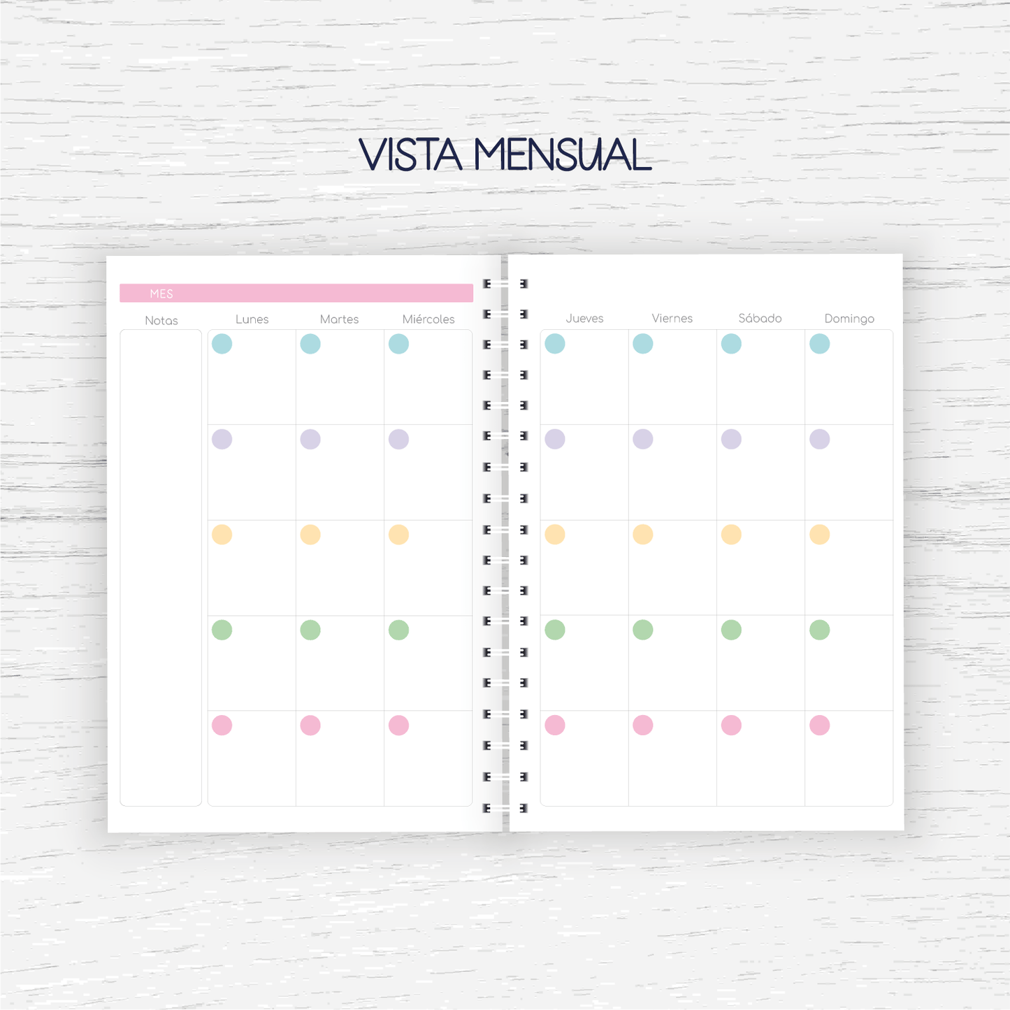 Planner Educadora de Párvulos