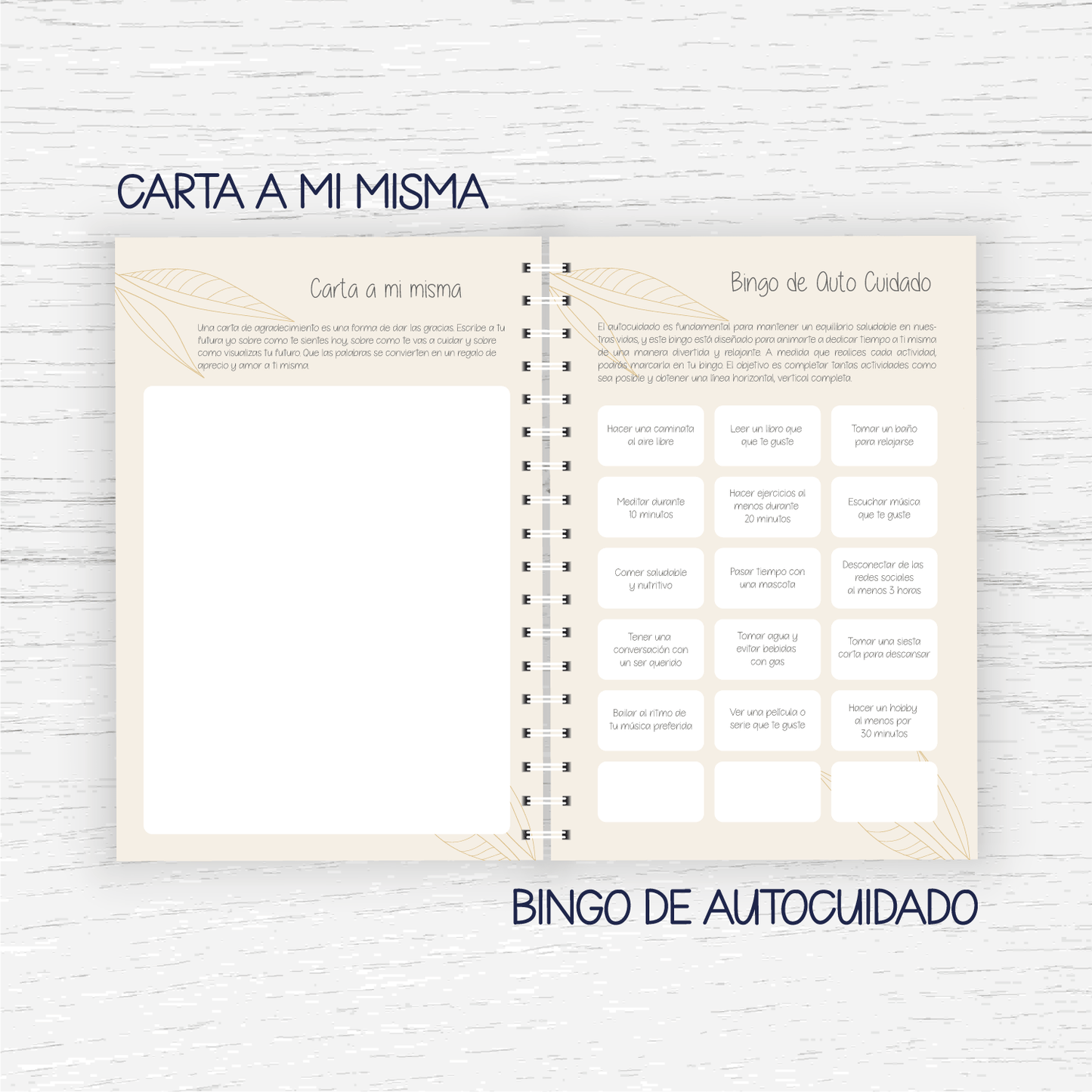 Diario de Gratitud