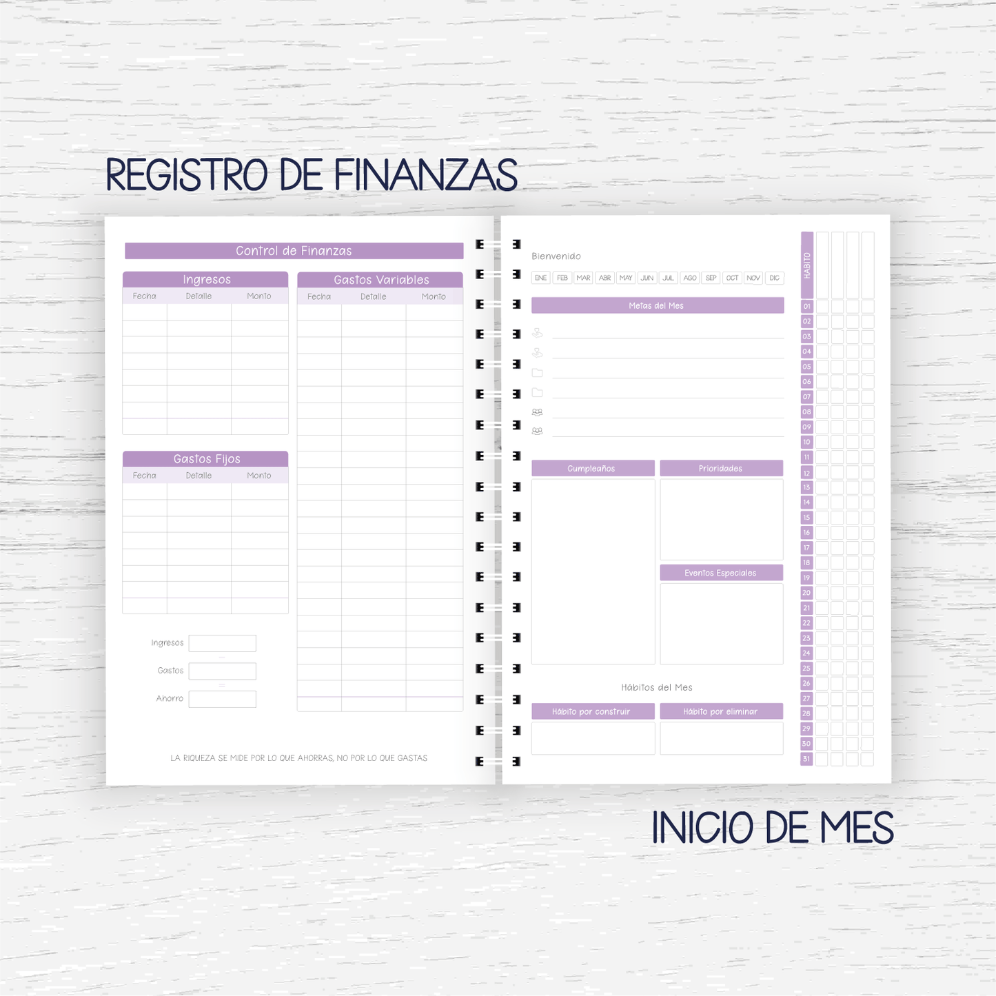 Planner Educadora Diferencial