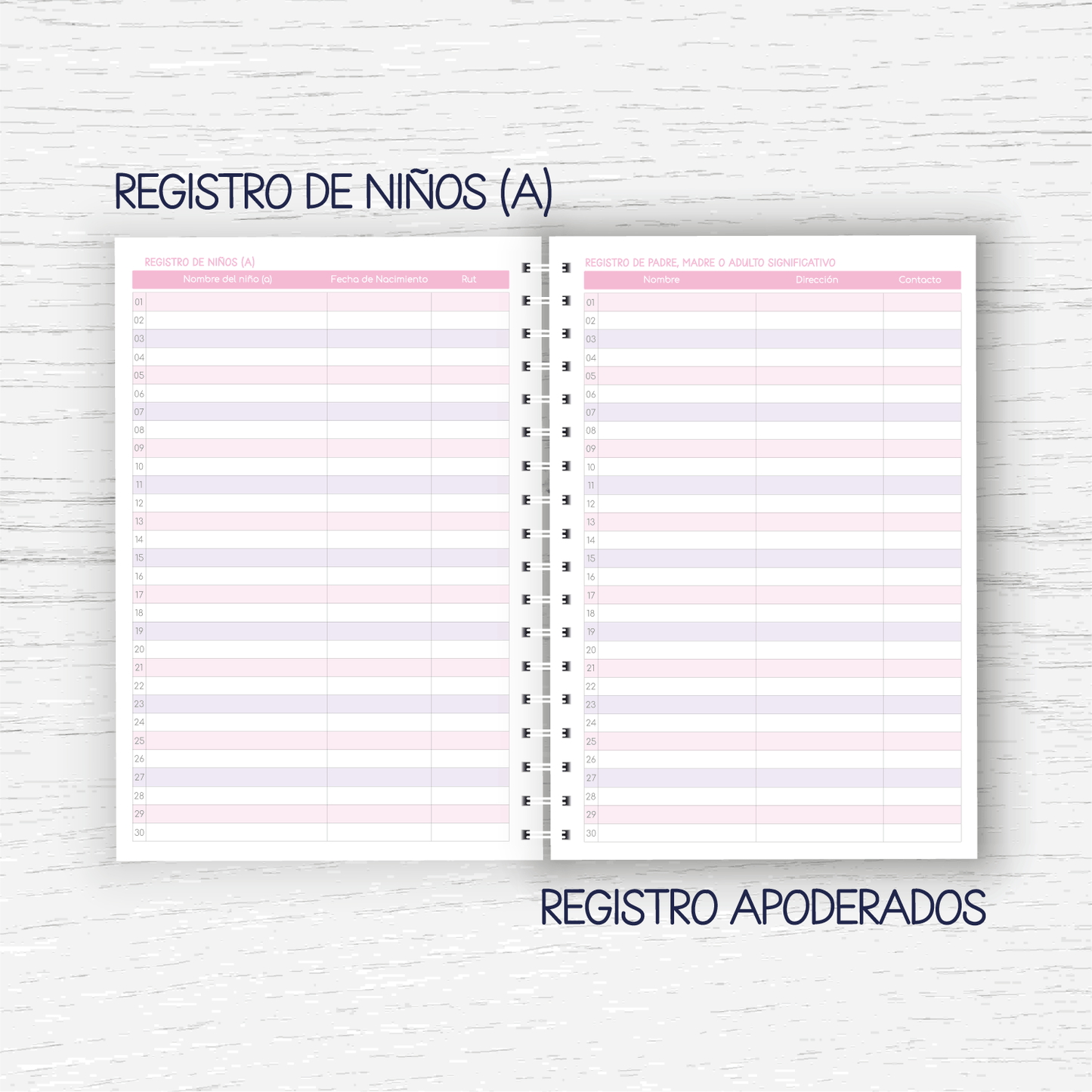 Planner Educadora de Párvulos