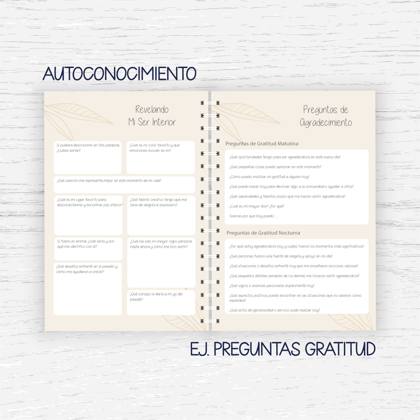 Diario de Gratitud