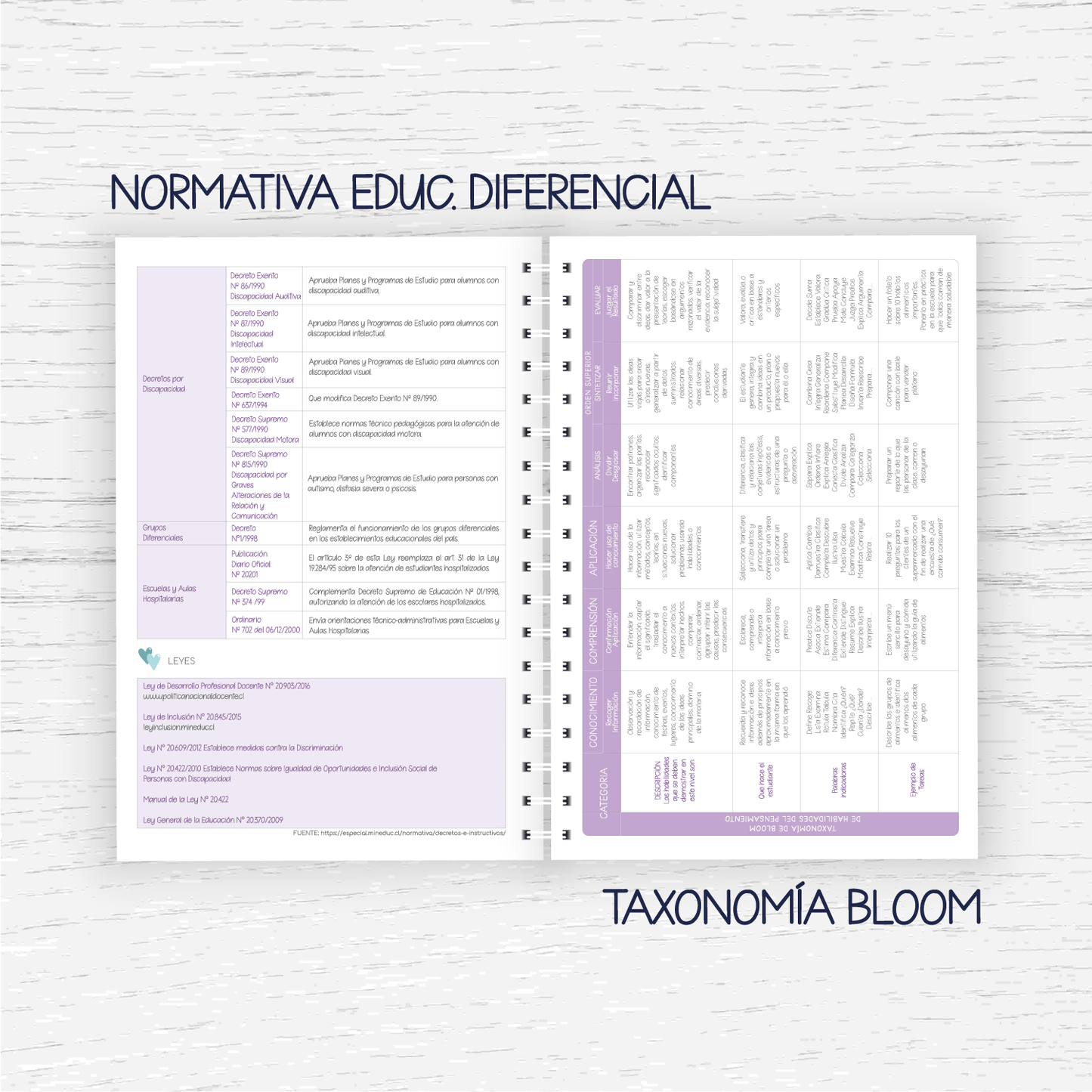 Planner Educadora Diferencial