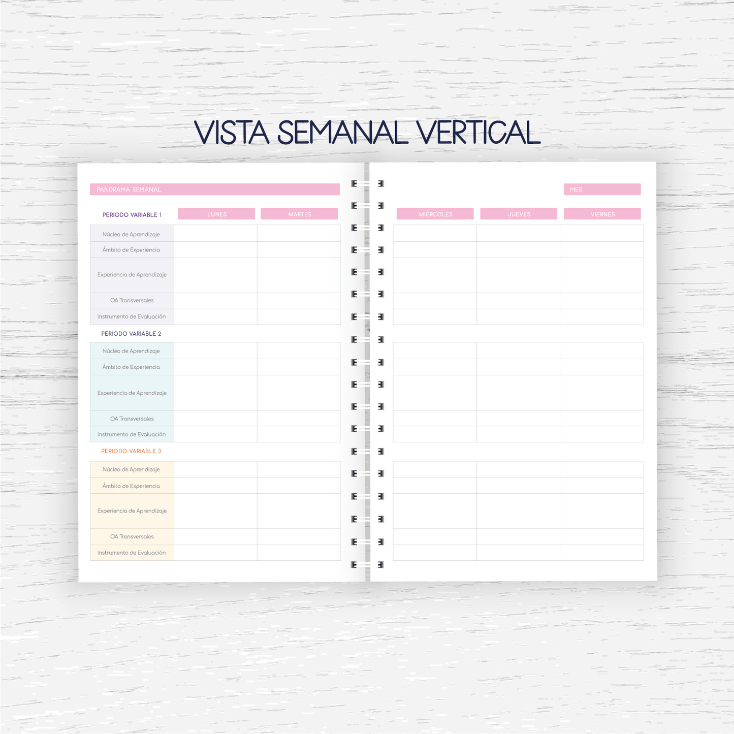 Planner Educadora de Párvulos