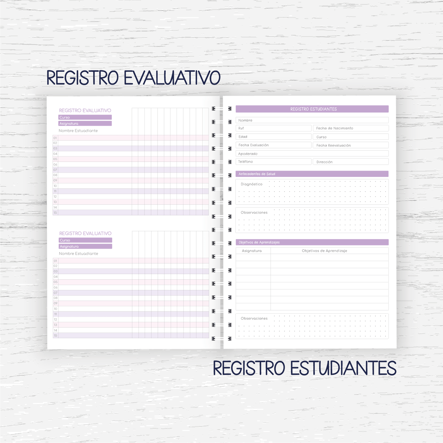 Planner Educadora Diferencial