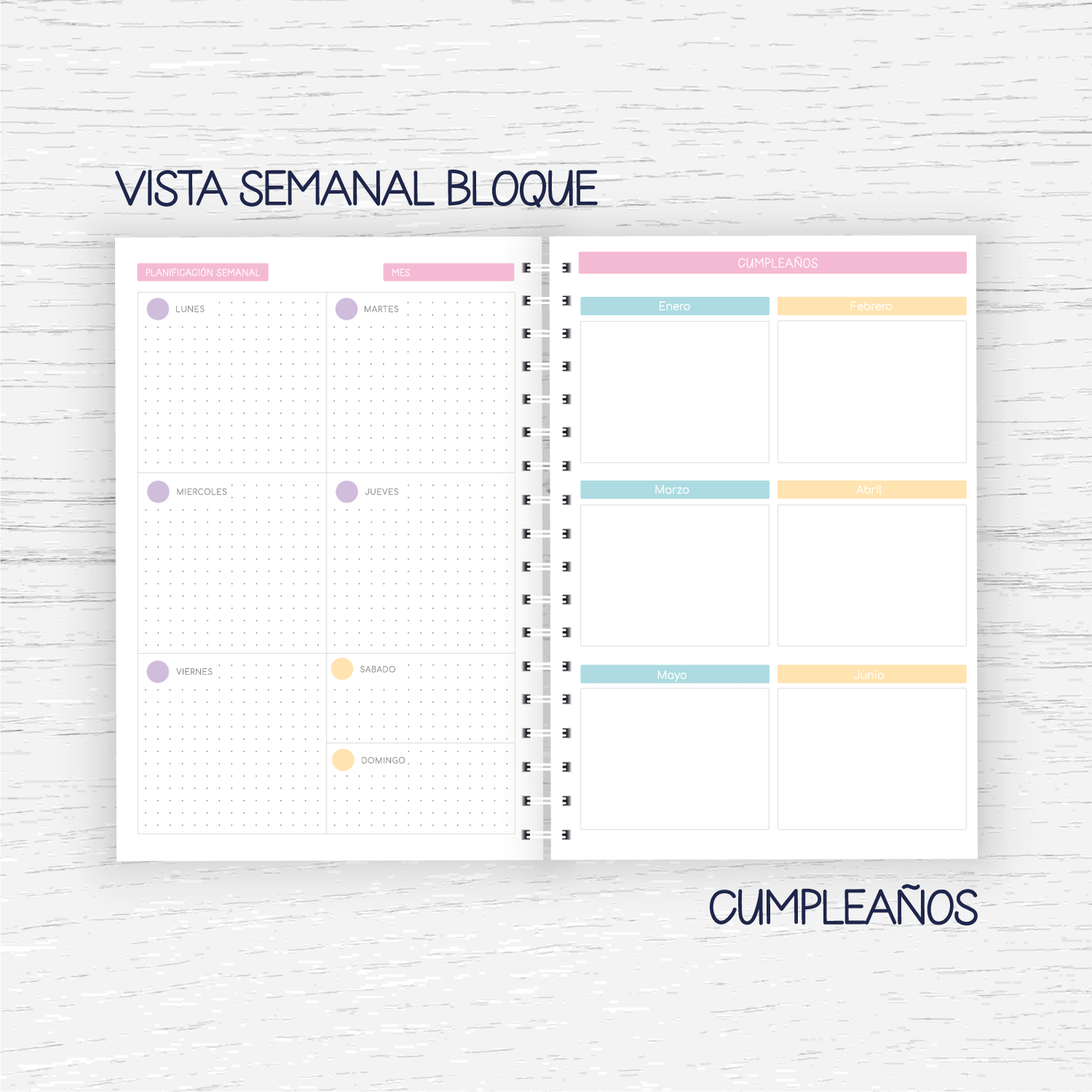 Planner Educadora de Párvulos