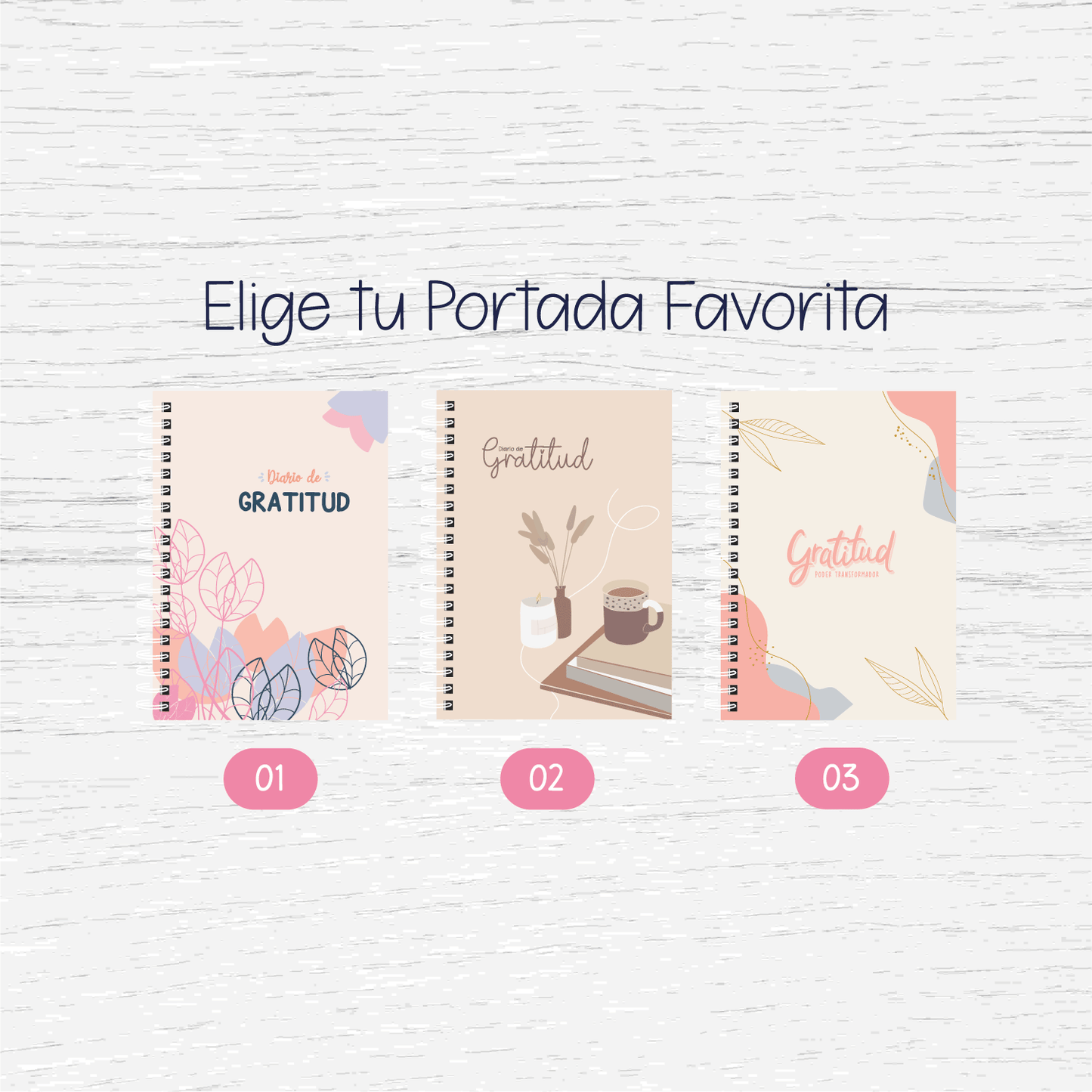 Diario de Gratitud