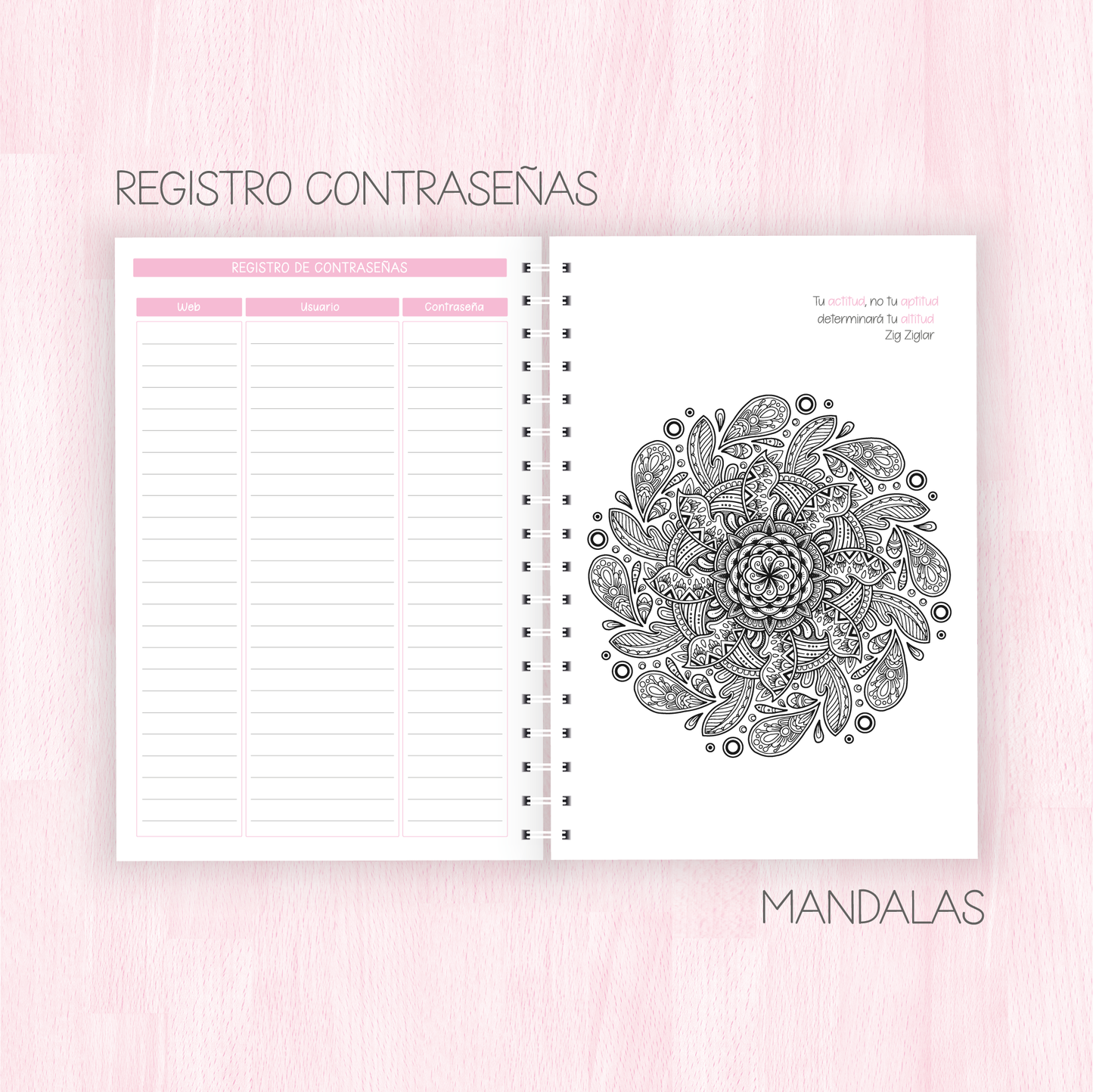 Agenda 2024 - Semanal por bloques