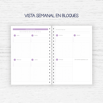 Planner Educadora Diferencial