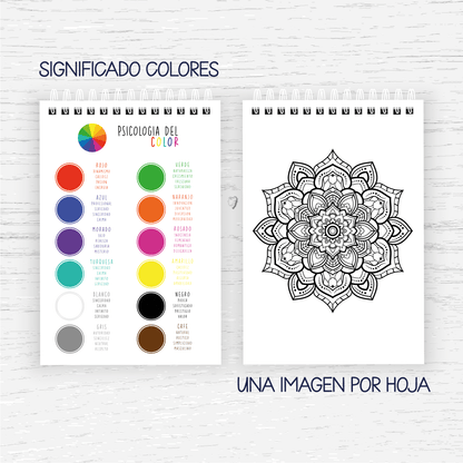 PintaLU Mandalas