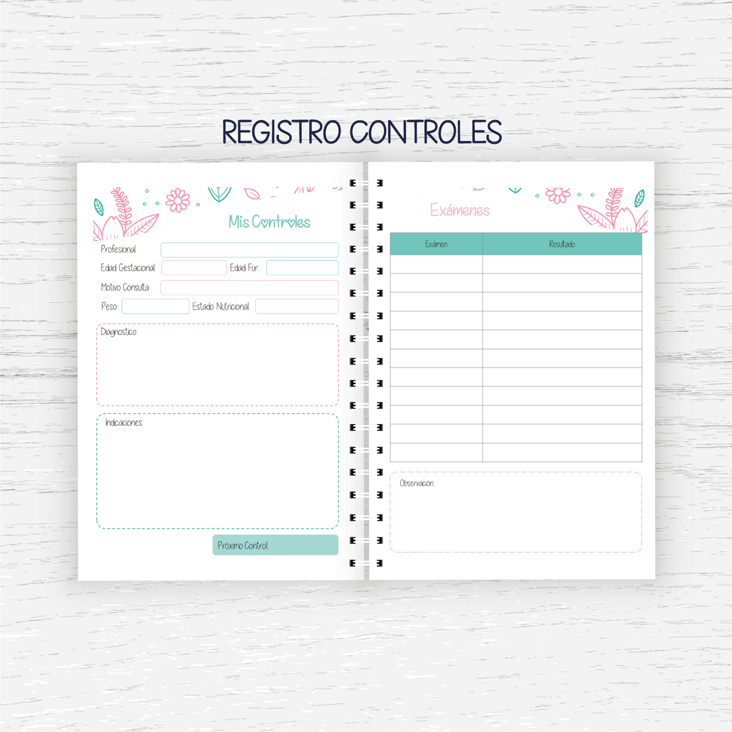Control Pre Natal - Embarazo
