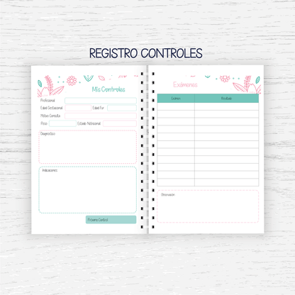 Control Pre Natal - Embarazo