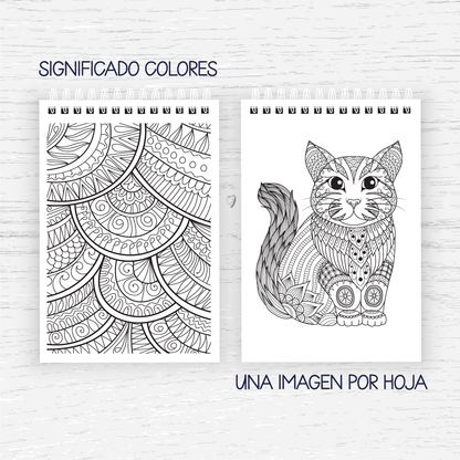 PintaLU Mandalas
