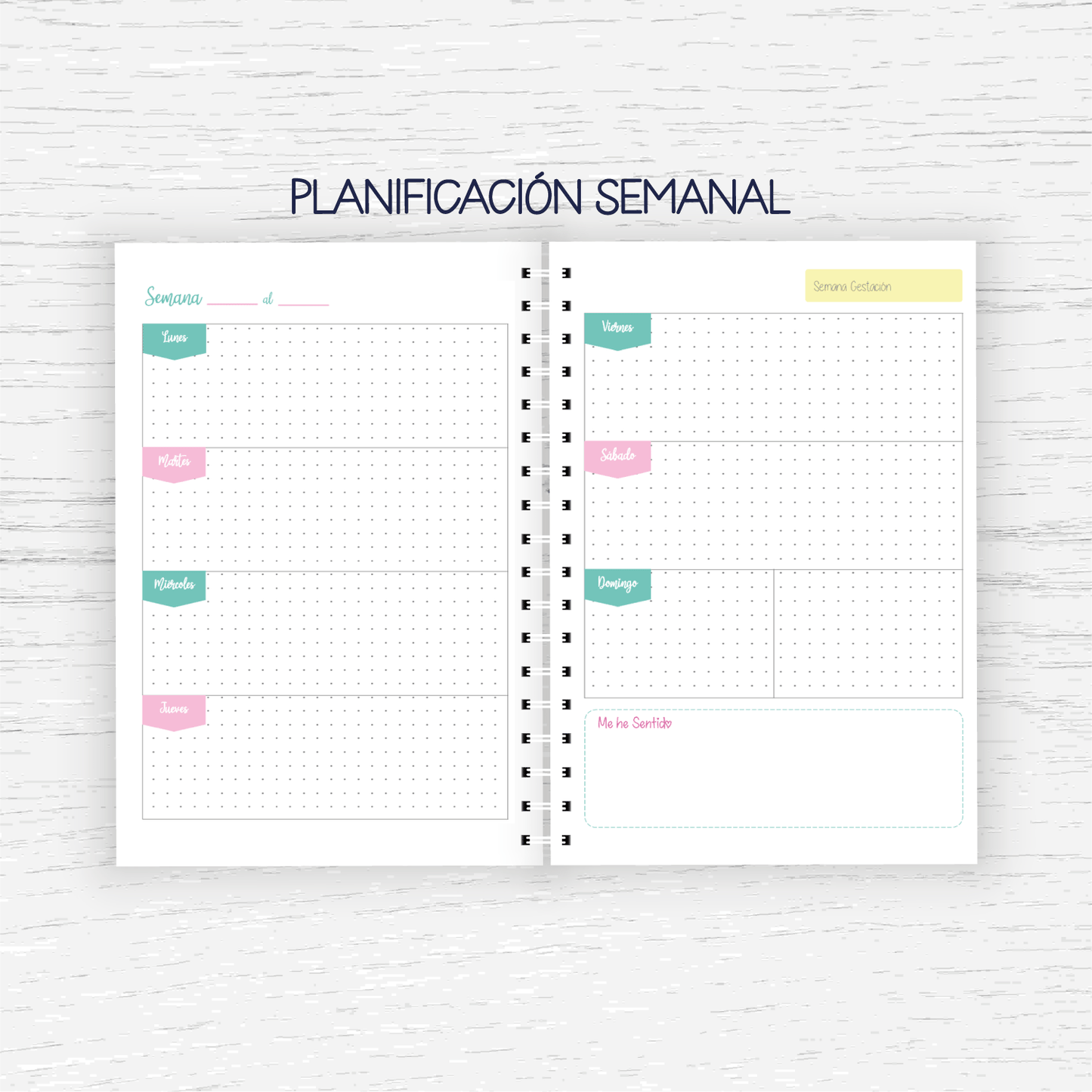Control Pre Natal - Embarazo
