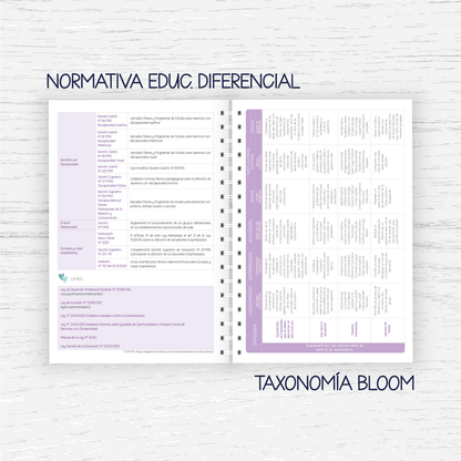 Planner Educadora Diferencial