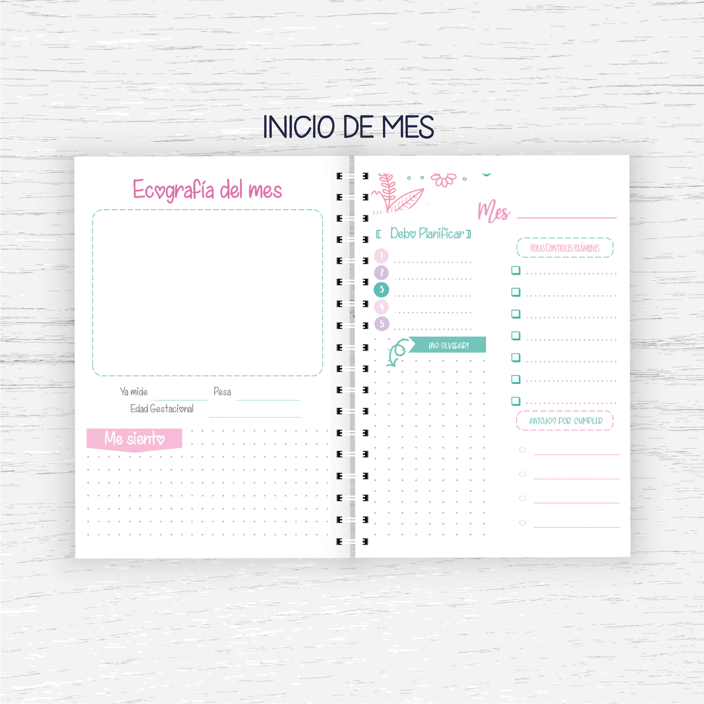 Control Pre Natal - Embarazo