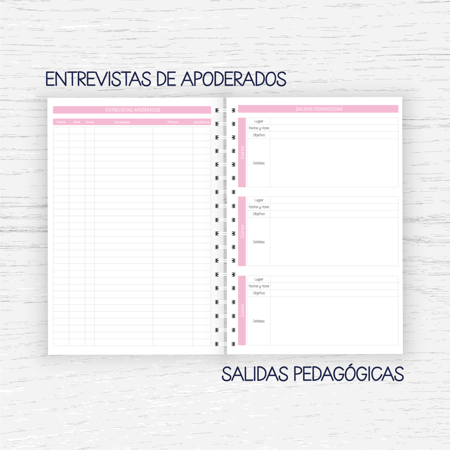 Planner Docente
