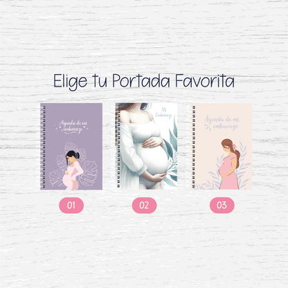 Control Pre Natal - Embarazo