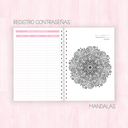 Agenda 2024 - Semanal por bloques